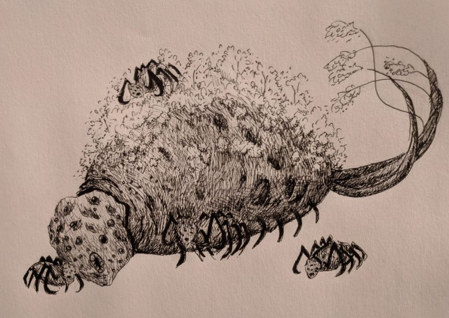 day 10