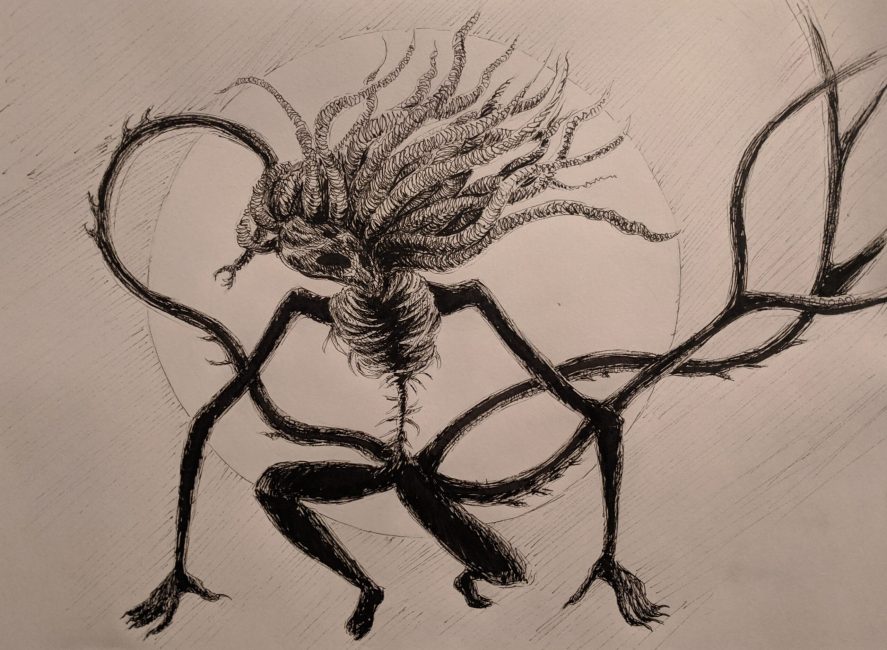 day 17